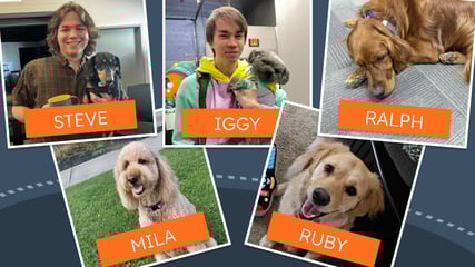 TKG’s Top 5 Favorite Office Visitors