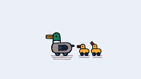 Ducks in a row animation