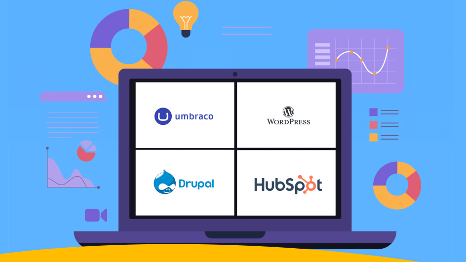 Which CMS Is Best for Your Business? Comparing WordPress, HubSpot, Drupal and Umbraco
