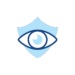 vision@300x